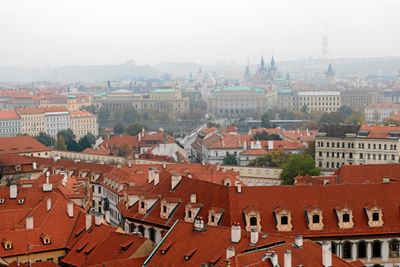 DSCF8339.JPG