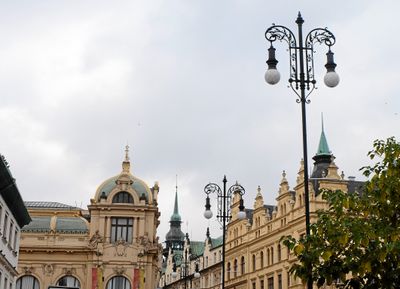 DSCF8343.JPG
