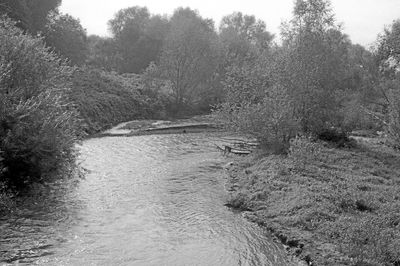 14img290.jpg