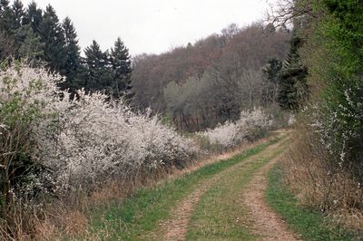 img423.jpg