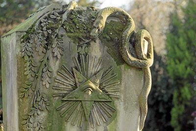 img487.jpg