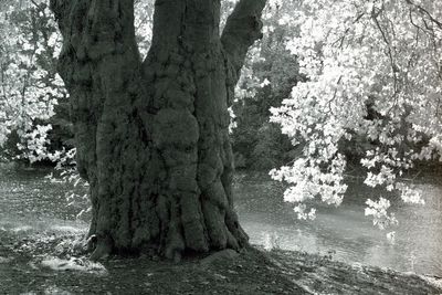 img488.jpg