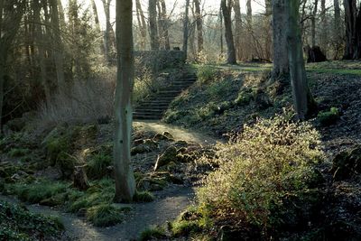 img500.jpg