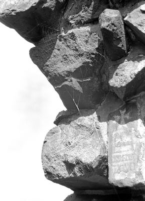 img839.jpg