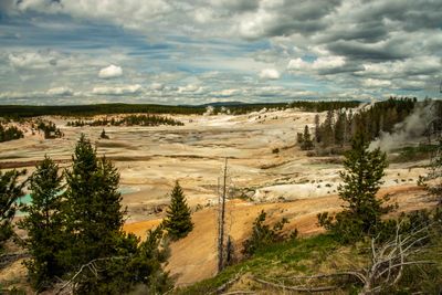 Yellowstone 202506_0265.jpg