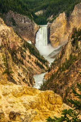Yellowstone 202506_0280.jpg
