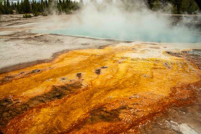 Yellowstone 202506_0429.jpg