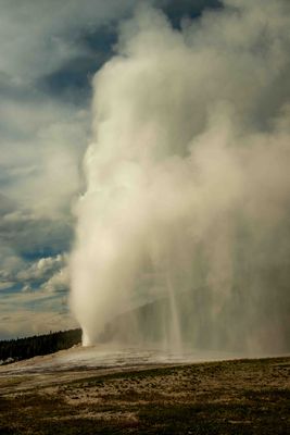 Yellowstone 202506_0447.jpg