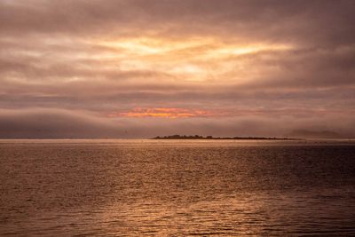 Astoria Long Beach 2024