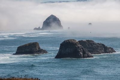 Ecola Park OR_202409_0017.jpg