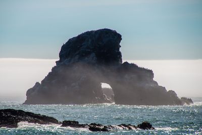 Ecola Park OR_202409_0021.jpg