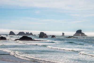 Ecola Park OR_202409_0022.jpg