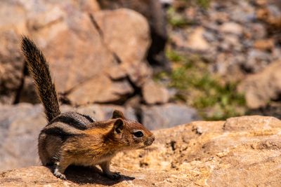 Great Basin NP_0042.jpg