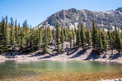 Great Basin NP_0068.jpg