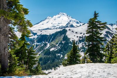 Mt Baker_202407_0029.jpg