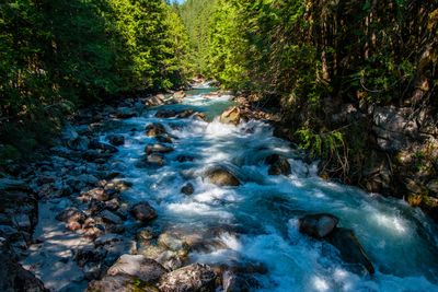 Mt Baker_202407_0080.jpg