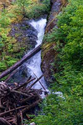 North Cascade Highway_202407_0107.jpg