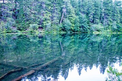 North Cascade Highway_202407_0121.jpg