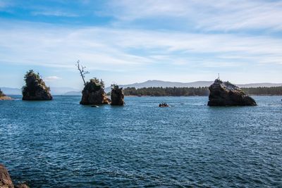Oregon Coast_202409_0056.jpg