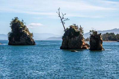 Oregon Coast_202409_0059.jpg