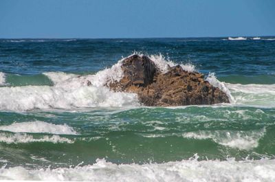 Oregon Coast_202409_0016.jpg