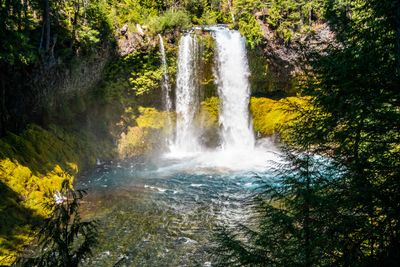 McKenzie River Sisters OR_0058.jpg