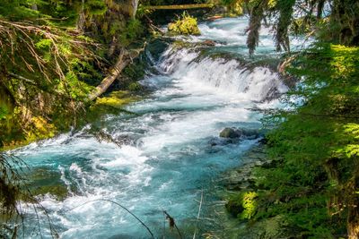 McKenzie River Sisters OR_0074.jpg