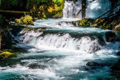 McKenzie River Sisters OR_0078.jpg