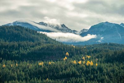 Whistler BC_0005.jpg