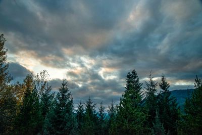 Whistler BC_0121.jpg