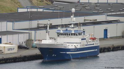 Kambur FD 454