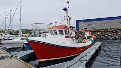 Stella TN 56