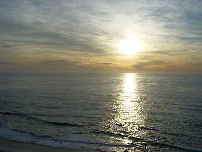 The Splendid East Coast of Australia Gallery
