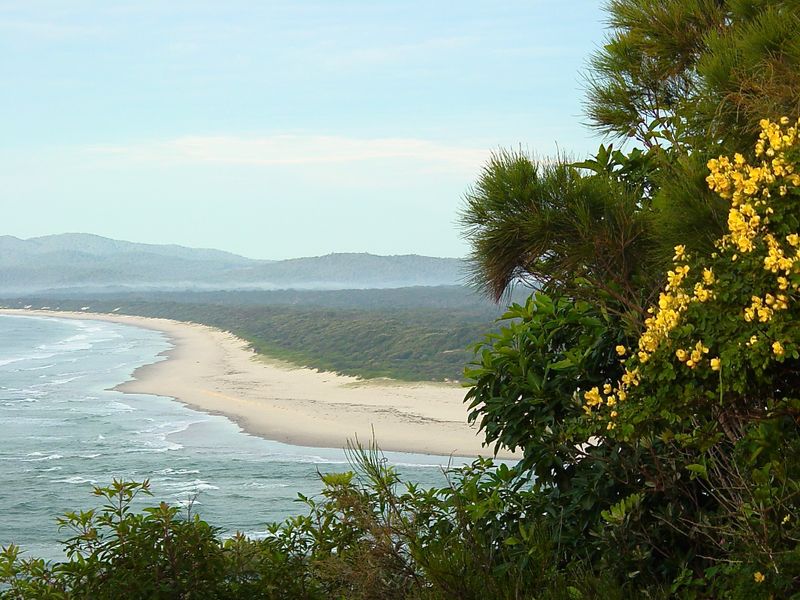 The Coast Line