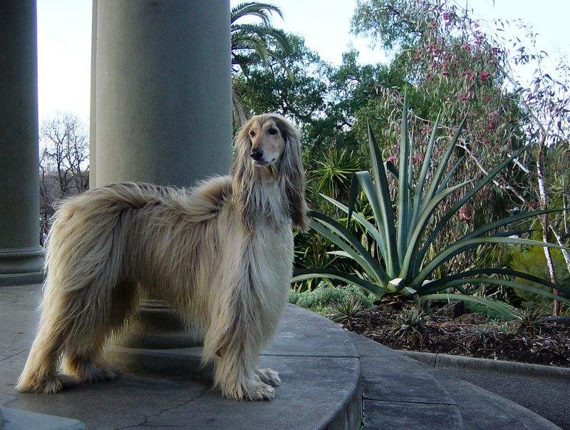 Royal Botanical Gardens Melbourne