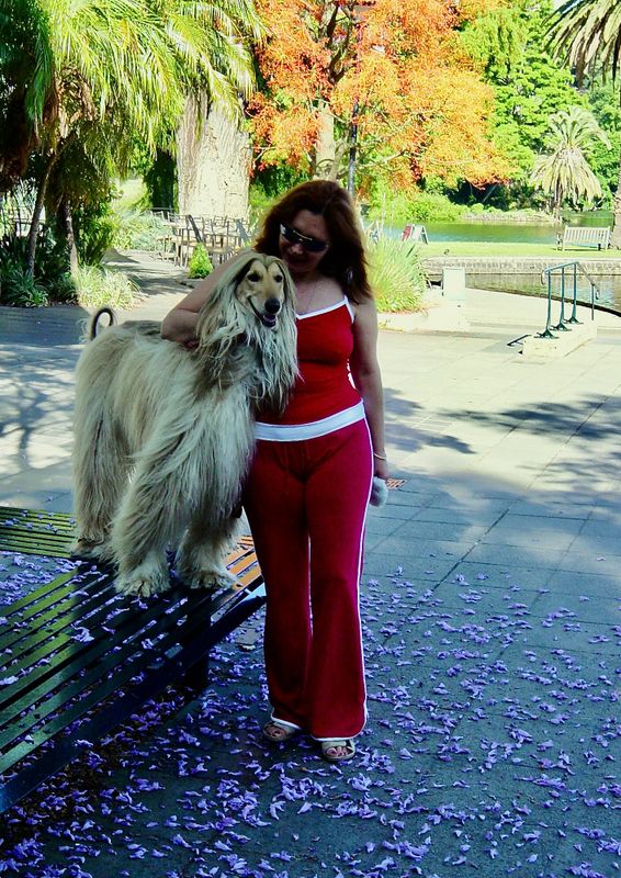 Christmas Morning Walk Royal Botanical Gardens Melbourne 