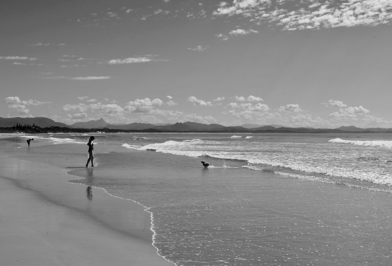 On The East Coast of Australia Gallery