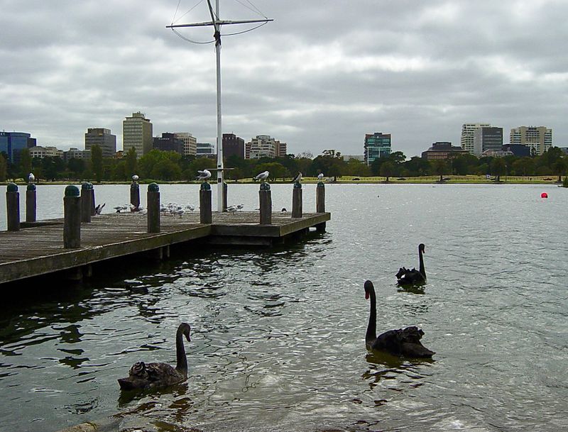 g13/45/8077745/2/175230643.98d28c31.JPEG
