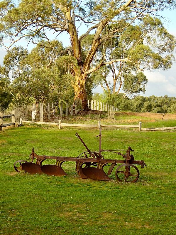 Around the wineries of Victoria