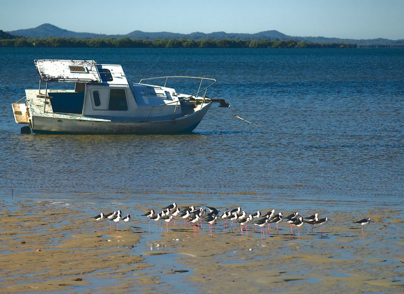 low tide