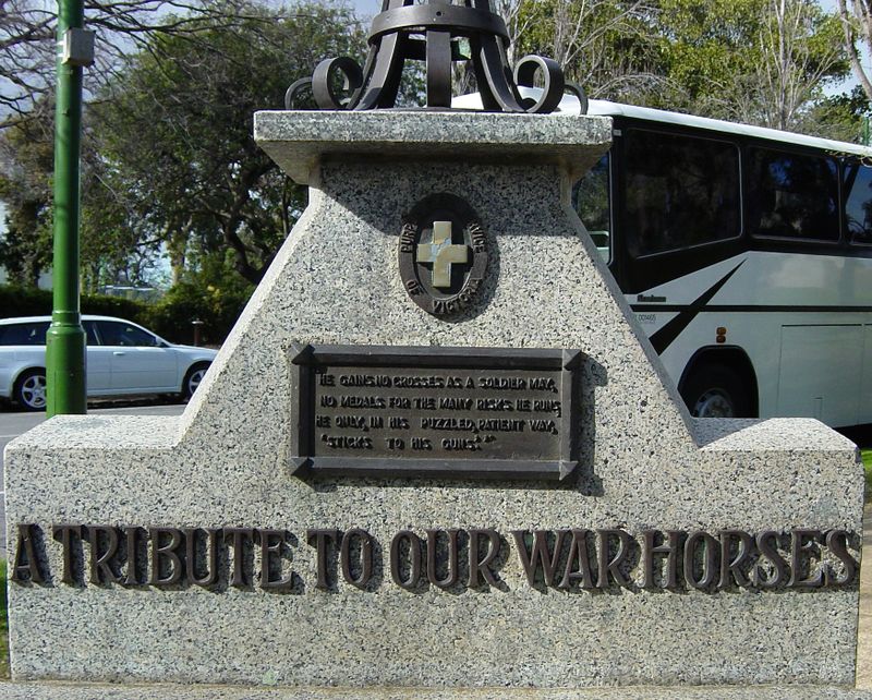 War Horses Remembered