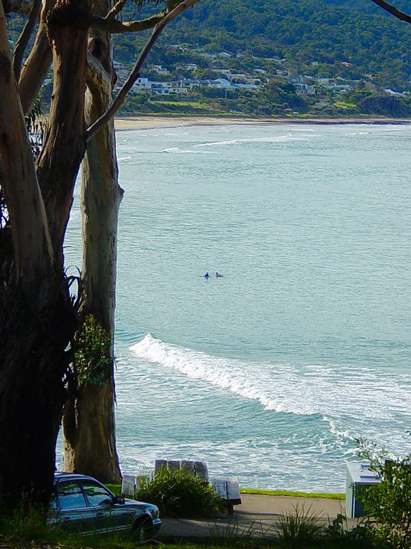 Lorne a view of the beach