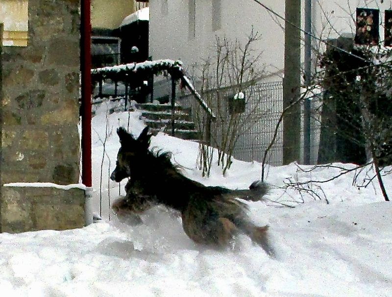 excited to discover the snow