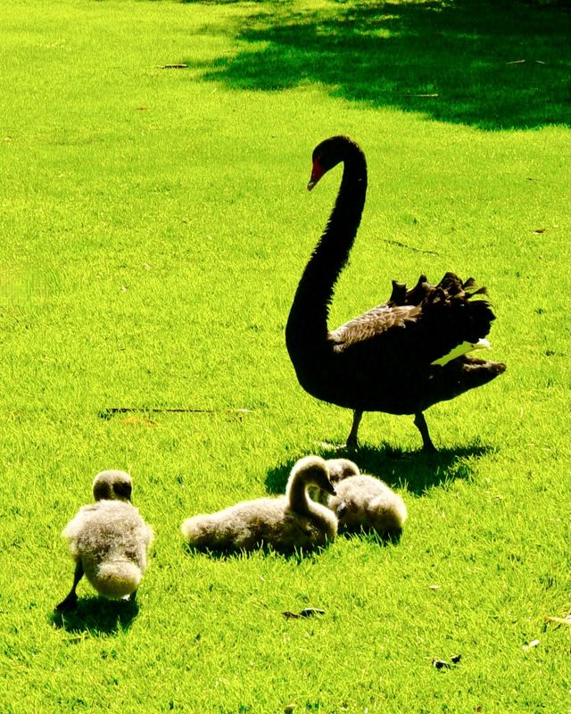 two generations