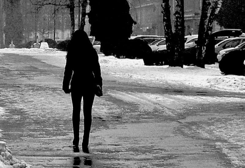 mystery and elegance in winter