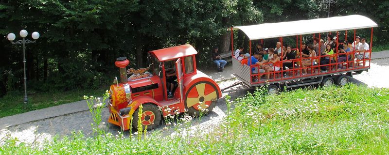 small train charming transportation around