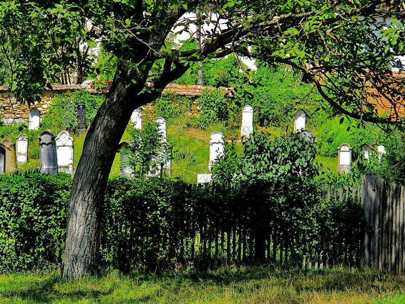the old cemetery