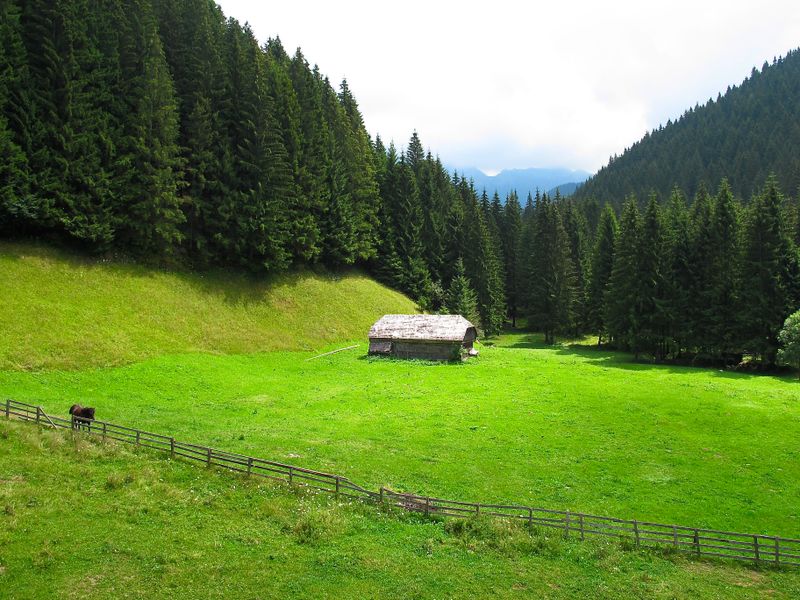 The Old Barn