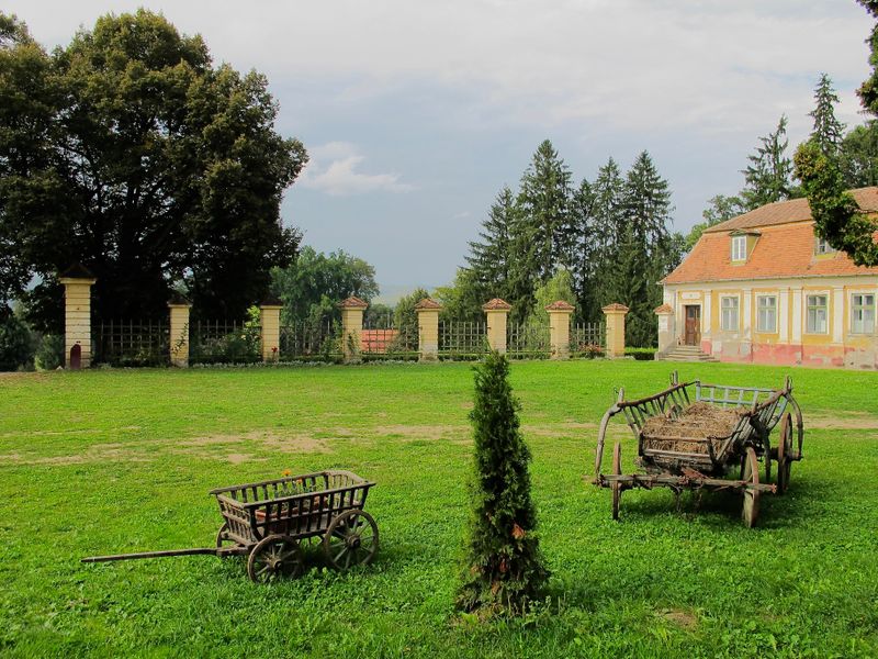 main yard