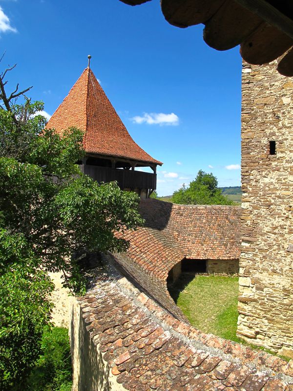 Viscri Fortress